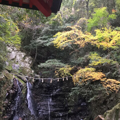 ドライブ/風景/旅行 犬鳴山の滝からパワーをもらったよ！(1枚目)