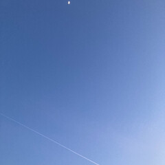 月と飛行機雲 (1枚目)