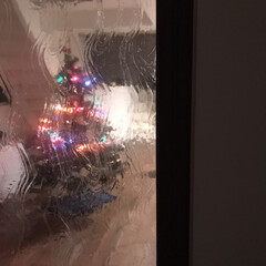 型ガラス/インテリア/クリスマスツリー/クリスマス/クリスマス2019 廊下からの景色
これもあと2日か〜
子ど…(1枚目)