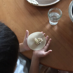 アカシア 丸プレート25cm 100380701(皿)を使ったクチコミ「ちょいちょい「餃子作りたくない！？」って…」(3枚目)