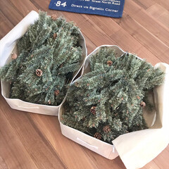 小物収納/ツリー収納/クリスマスグッズ収納/LIMIAベスト収納2019/お片付け/暮らし クリスマスツリーの収納
ほぼニトリです
…(2枚目)