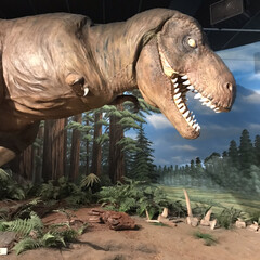 兄弟/子どもと暮らす/おでかけ/恐竜博物館/旅行/おでかけワンショット 博物館にあった恐竜がまばたしして、口がち…(1枚目)