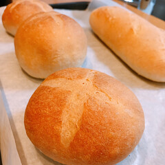 富澤商店/冷凍生地/フランスパン 昨日はクロワッサン焼いてくれたので
今日…(1枚目)