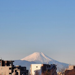富士山🗻/空/風景 🌈🌺🐢💃🌴

🌴🦩今日も風🍃があるけどい…(1枚目)