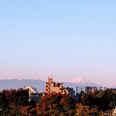 風景/朝日🌅/紅葉/空/富士山 🌺🍹🐊🍉🌴🌺🌴

🌴🦩🗻真っ白に〜❄
手…(1枚目)