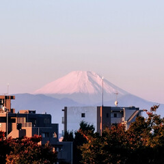 風景/朝日🌅/紅葉/空/富士山 🌺🍹🐊🍉🌴🌺🌴

🌴🦩🗻真っ白に〜❄
手…(3枚目)