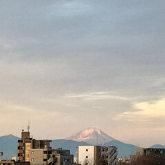 富士山/風景 🌈🌴🌺🦚🐠🌴💓

今日の 富士山です〜す…(1枚目)