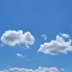 雲アート/空/風景/いい天気 🌺🍹🐊🍉🌴🌺🌴

🌴🦩ｋａｗａｉｉ雲☁️…(2枚目)