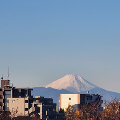 風景/空/富士山🗻 🌺🍹🐊🍉🌴🌺🌴

🌴🦩今日の／^o^＼ﾌ…(1枚目)