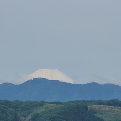 風景/富士山 🌈🌺🐢💃🌴🌻🌴🍍

🌴🦩今日の&lt;／^o^…(1枚目)