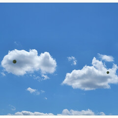 雲アート/空/風景/いい天気 🌺🍹🐊🍉🌴🌺🌴

🌴🦩ｋａｗａｉｉ雲☁️…(1枚目)
