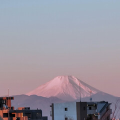 いい天気☀️.°/風景/空/朝日/富士山🗻 🌈🌺🐢💃🌴

🌴🦩朝日が昇る前の
　ピン…(1枚目)