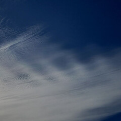 標茶/道東/北海道/風景/ウロコ雲/鱗雲/... そういえば今日の午前中、とっても細かいう…(1枚目)