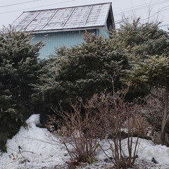 春はまだみたい/北海道/道東/雪/ひらた家具店 こちら、ひらた家具店の駐車場の一角。
自…(1枚目)