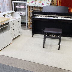 ストリートピアノ/フリーピアノ/楽器/ピアノ/標茶/平田家具店/... こちらは、ひらた家具店のウィンドウから見…