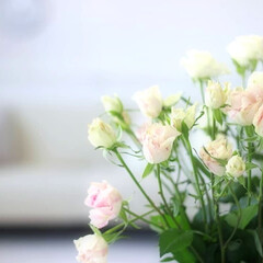 インテリア/リビング/花のある暮らし/ばら/風景/暮らし/... この日は少し薄いピンクのバラを飾ってみま…(1枚目)