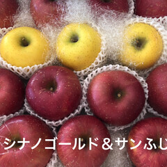 フルーツ/キッチン/フード/グルメ 長野の美味しいリンゴ達(1枚目)