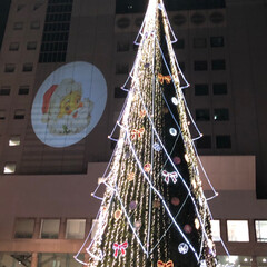 かぶりものねこ/観覧車/ペット/猫/クリスマスツリー/クリスマス こんばんは❤
先日のphotoへの コメ…(5枚目)