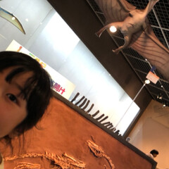 和太鼓/お祭り/ペーパークラフト/恐竜博物館/LIMIAおでかけ部/おでかけ 小山市立博物館🏛
移動博物館で恐竜博物🦕…(3枚目)
