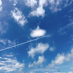 飛行機雲/空/ブルー ブルー

飛行機雲✈️✈️✈️

地区の…(1枚目)