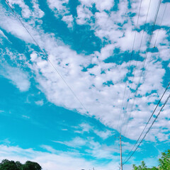 散歩/秋の空/金木犀/彼岸花/おでかけ お彼岸ですね😌
実家に帰ってきました。久…