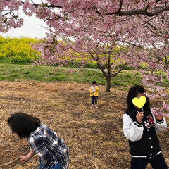 マラソン/思川桜/春のフォト投稿キャンペーン/平成最後の一枚/春/風景/... まだまだ、桜を楽しんでまーす😃

只今、…(3枚目)