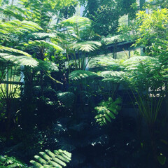 風景 ジブリ 牧野植物園のフォトまとめ Limia リミア