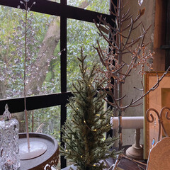 クリスマス/クリスマスツリー/アートのある暮らし/クリスマス2019/リミアの冬暮らし/雑貨 今年のツリー3種類。

右からブランチツ…(1枚目)