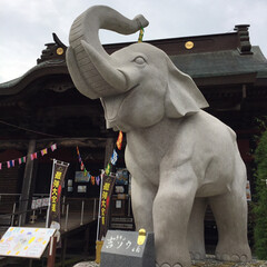 長福寿寺/パワースポット/おでかけワンショット/おでかけ/旅行/フォロー大歓迎 千葉県にある宝クジが当たるってお寺をテレ…(2枚目)