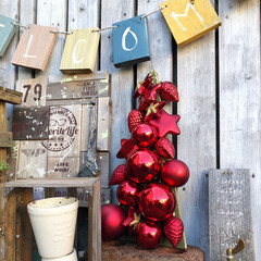 ガーデニング/クリスマス/クリスマスツリー/DIY/雑貨 真っ赤なガーランドをつけたクリスマスリー…(1枚目)