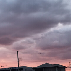 空/夕焼け/おでかけ 今日の夕方
綺麗な紫色でした
珍しい色の…(1枚目)