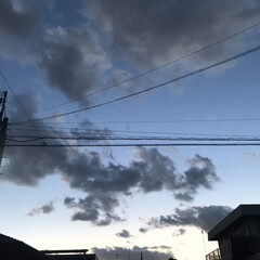 雲/空/風景 今日の雲

帰り際に、空を見ると
龍のよ…(1枚目)