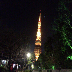 夜の散策/眺めているだけで幸せ/おでかけ/おでかけワンショット/夜景 温かみがあって、私は東京タワーが大好きで…(1枚目)