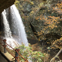 風景/おでかけ 松川渓谷の滝と紅葉、滝の後ろ側からの見学…(1枚目)