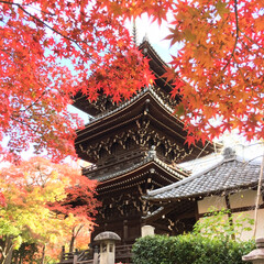 はじめてフォト投稿/フォロー大歓迎/至福のひととき/LIMIAおでかけ部/おでかけ/旅行/... 京都の紅葉を観に、一度は行ってみたいと思…(1枚目)