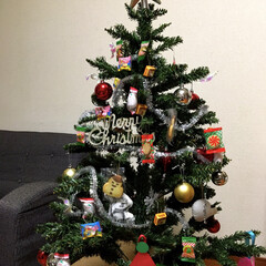 クリスマス/クリスマスツリー/ダイソー/セリア/ニトリ/イケア 我が家のツリーはおやつも一緒に飾ります♪…(1枚目)
