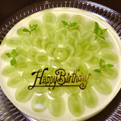 アガー/ゼリー/ぶどう/マスカット/レアチーズケーキ/バースデーケーキ 主人の誕生日に、子ども達の大好きなマスカ…