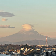 シクラメンフェアリーピコ/火祭り（多肉植物）/富士山の笠雲/クリスマス（多肉植物） おはようございます。
18日まりんとあ散…(2枚目)