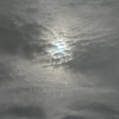 雲の中/秋の空/お月様 おはようございます♬

最近のまりんはベ…(6枚目)