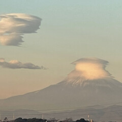 シクラメンフェアリーピコ/火祭り（多肉植物）/富士山の笠雲/クリスマス（多肉植物） おはようございます。
18日まりんとあ散…(4枚目)
