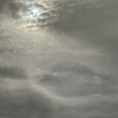 雲の中/秋の空/お月様 おはようございます♬

最近のまりんはベ…(5枚目)