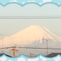 わんこ/まりん/柴犬/富士山🗻/フォロー大歓迎 今朝の富士山🗻です。
まりんも楽しそう？…(1枚目)