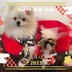 富士山/初日の出/まりん/新年のご挨拶 新年明けましておめでとうございます♪

…(1枚目)