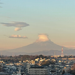 シクラメンフェアリーピコ/火祭り（多肉植物）/富士山の笠雲/クリスマス（多肉植物） おはようございます。
18日まりんとあ散…(3枚目)