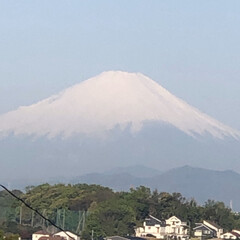 お散歩/しょうぶ/まりん/電線/富士山🗻 こんばんは。
先週の土曜日に撮った富士山…
