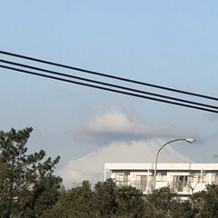 マンション/電線/まりん/あ散歩/富士山🗻 まりんとあ散歩に行きました。
今朝の富士…