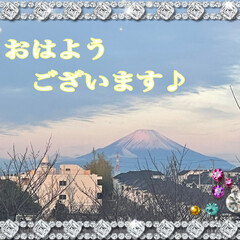 シクラメンフェアリーピコ/火祭り（多肉植物）/富士山の笠雲/クリスマス（多肉植物） おはようございます。
18日まりんとあ散…(1枚目)