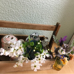 春のフォト投稿キャンペーン 春になるとテーブルにいろんなお花が飾れま…(2枚目)