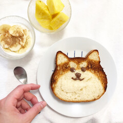 パン/料理/柴犬/食パンアレンジ/食パン/おうちごはん/... 人気のねこねこ食パンをアレンジしました!…