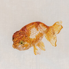 金魚/動物/飴細工/YouTube/クックパッド/おうちごはん/... こちらは透明な飴細工の金魚です。

こん…(4枚目)